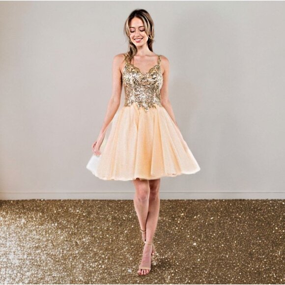 Cinderella Divine Sequin Fit & Flare Mini Party Dress Sleeveless Tulle Skirt XS - Picture 2 of 12